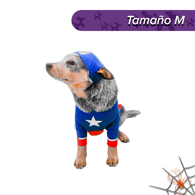 Cachivaches - Disfraz Capitán América Mascota Marvel
