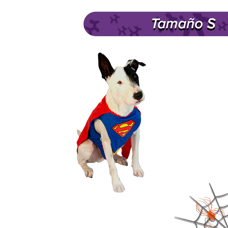 Cachivaches - Disfraz Superman Mascota Warner