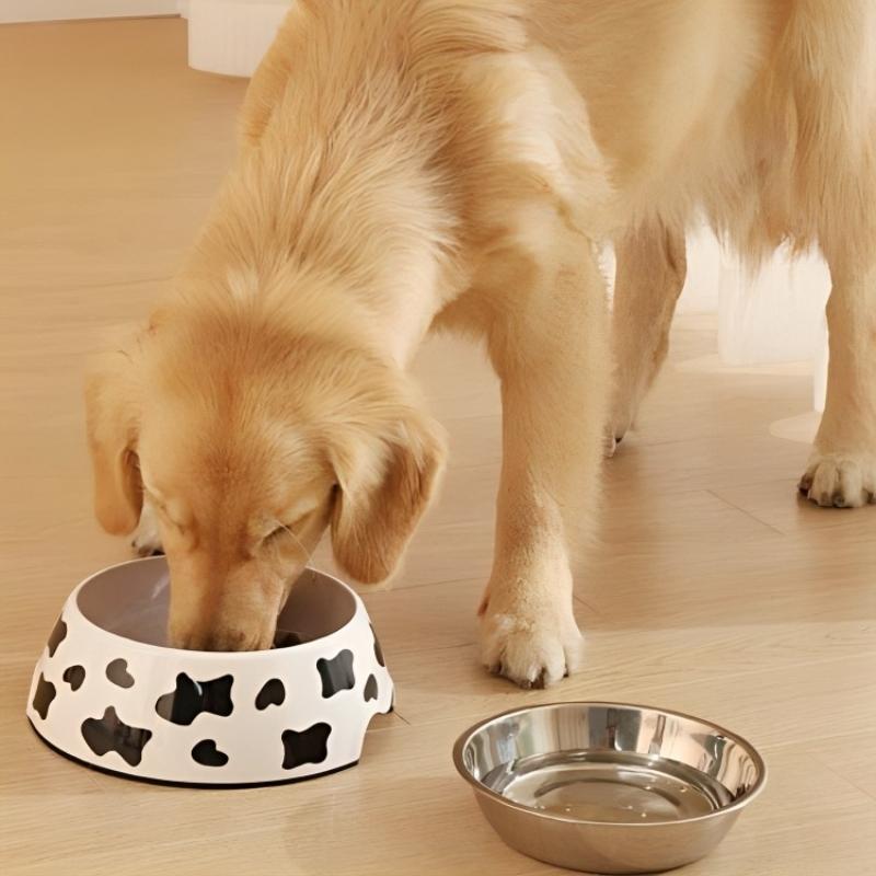 calabaza-pets-comedero-doble-con-disenos