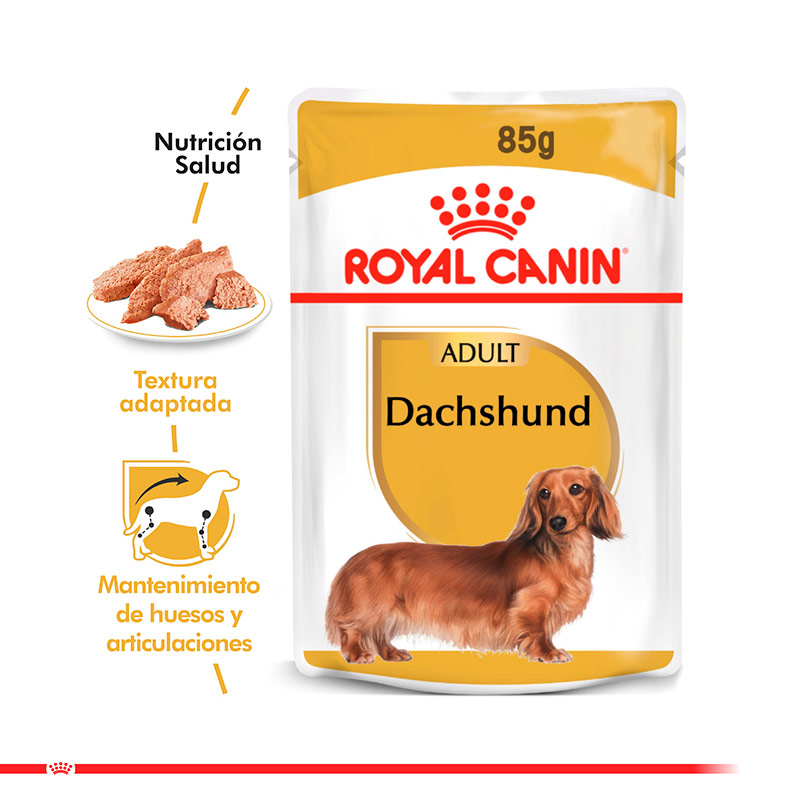 royal-canin-alimento-humedo-perro-adulto-dachshund