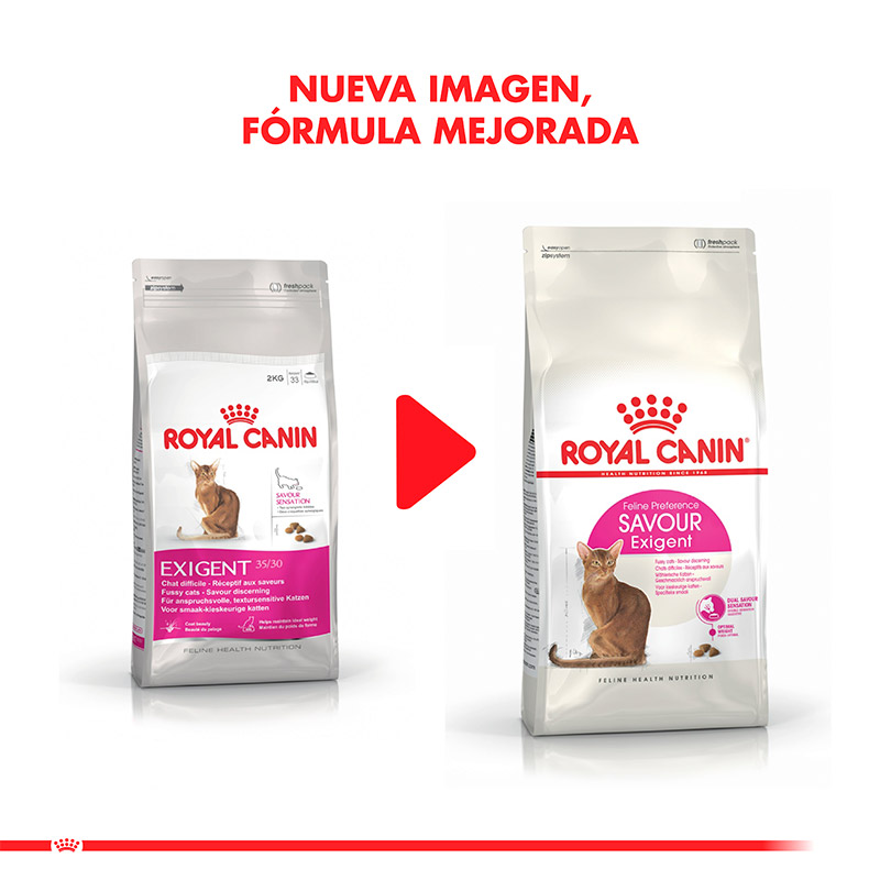 royal-canin-alimento-gato-adulto-exigent