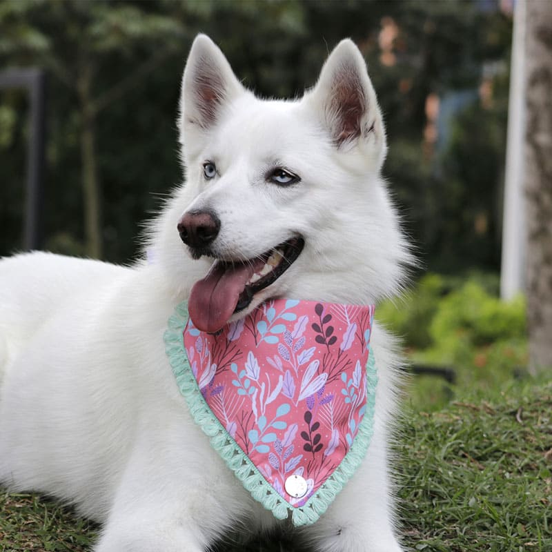 alana-bandana-bandana-lilac-flowers