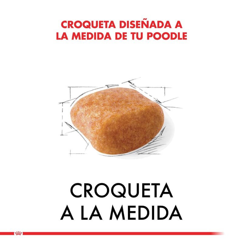 royal-canin-alimento-poodle-canishe