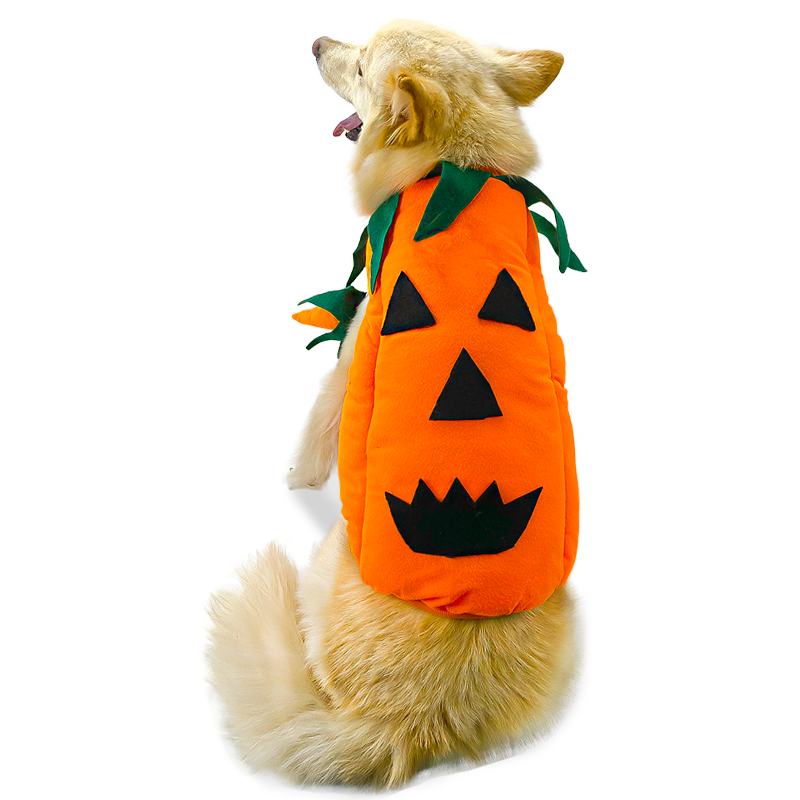 catm-disfraz-de-calabaza-para-mascota