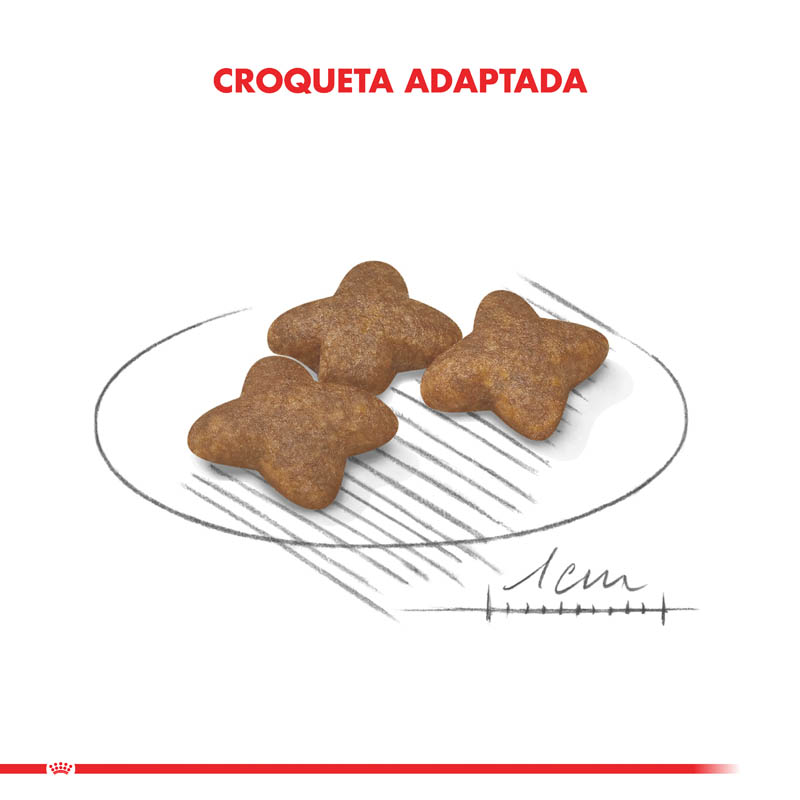 royal-canin-mini-adulto