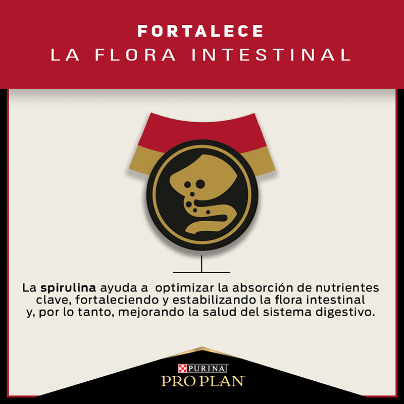 pro-plan-dog-adult-optihealth-raza-pequena