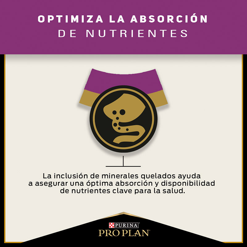 pro-plan-cat-urinary-optitract