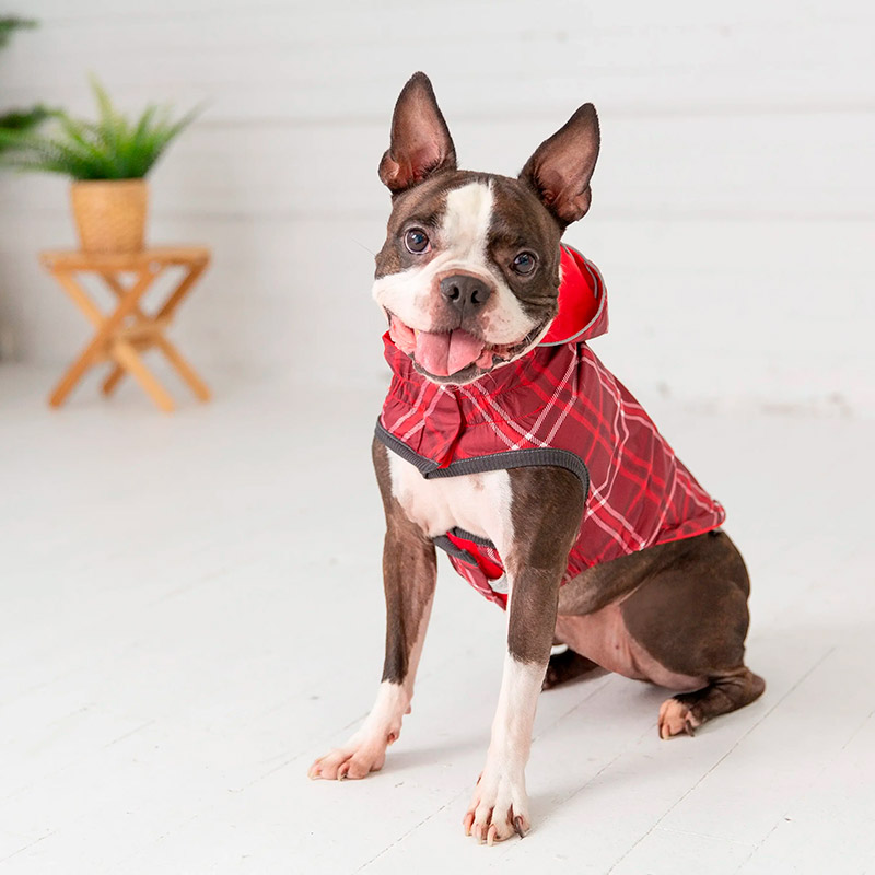 gfpet-impermeable-reversible-rojo