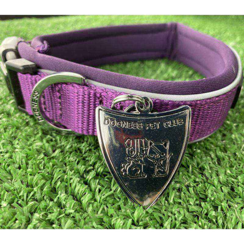 dogness-collar-classic-morado-perro