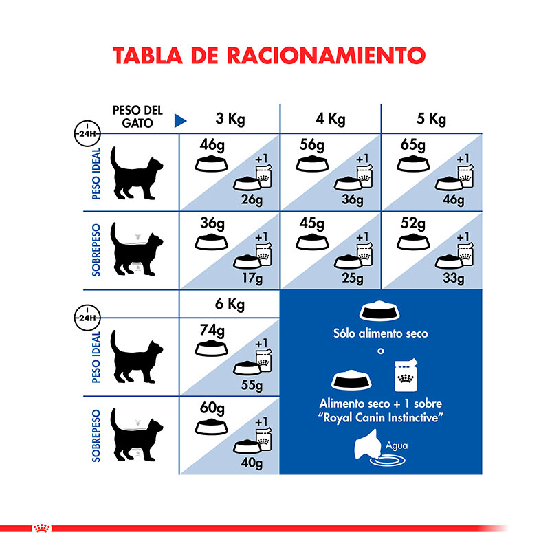 royal-canin-indoor