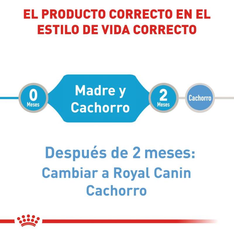 royal-canin-starter-mousse-lata
