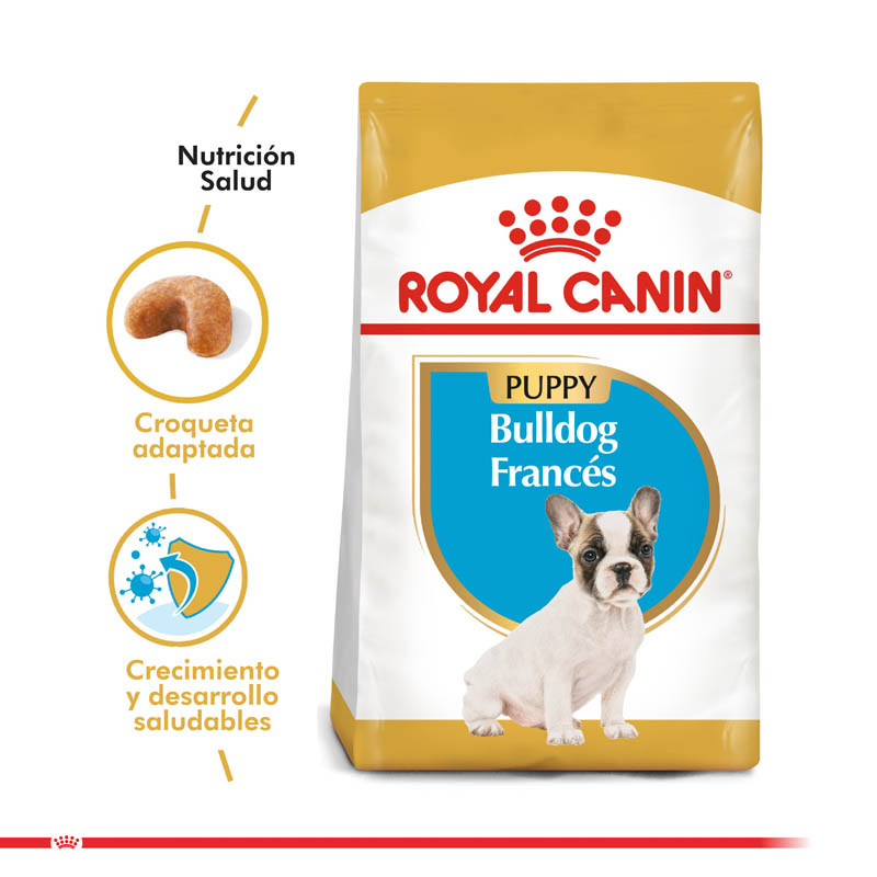 royal-canin-bulldog-frances-puppy