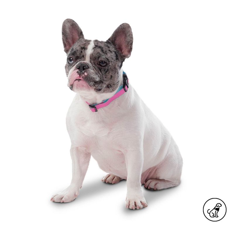 totto-pets-collar-ajustable-perro-mylu-morado