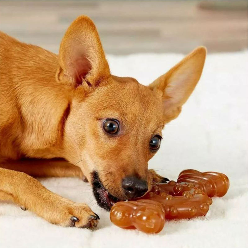 nylabone-juguete-hueso-con-anillo-power-chew