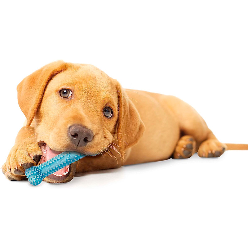 nylabone-juguete-hueso-azul-sabor-pollo-para-cachorro-de-hasta-7kgs