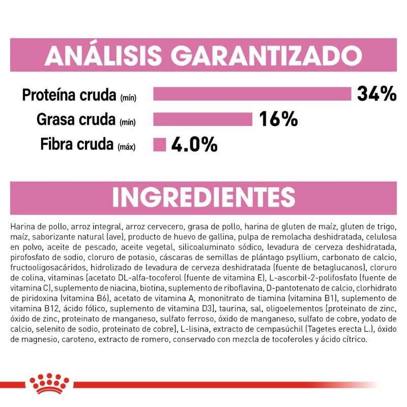 royal-canin-alimento-seco-para-minino-kitten