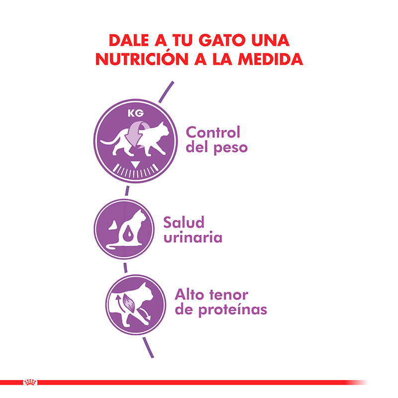 royal-canin-gatos-esterelizados-adulto