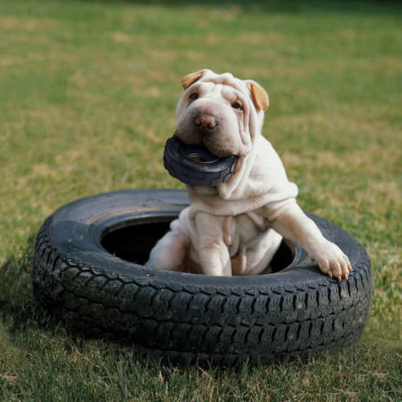 kong-tires-juguete-para-perro