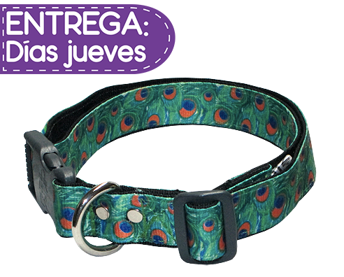 Collar Pavo Real