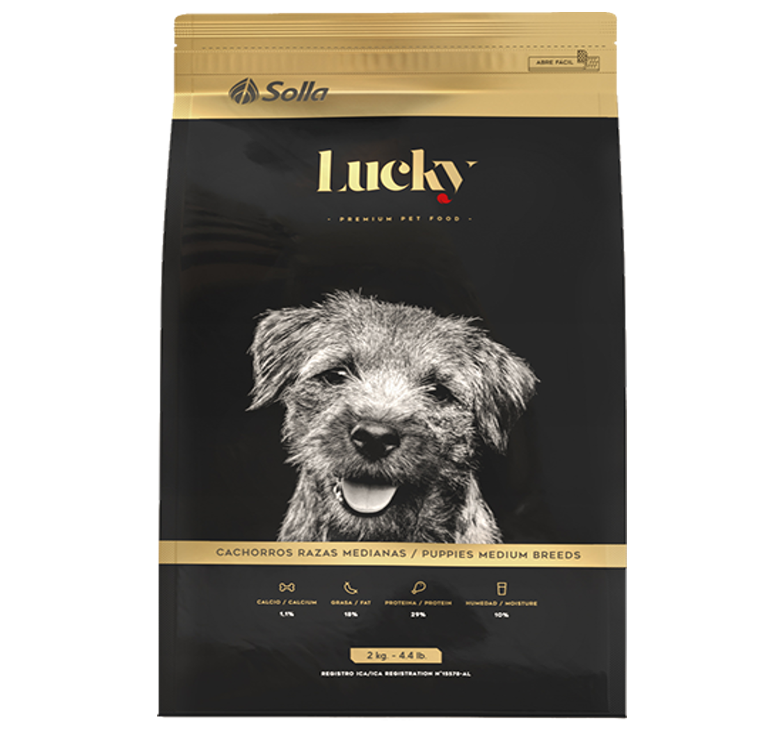 Lucky - Cachorros Razas Medianas