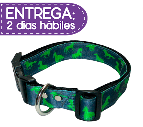 animal-shop-collar-caballos