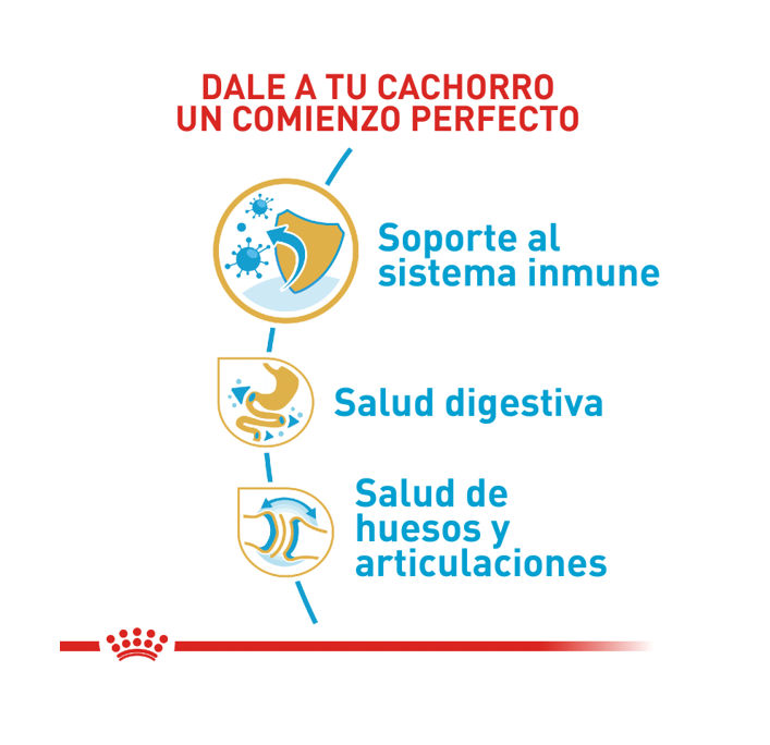 royal-canin-breed-health-nutrition-bulldog-puppy