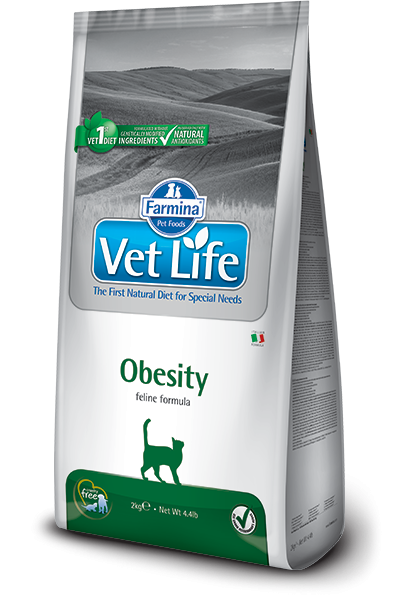 vet-life-gatos-obesity