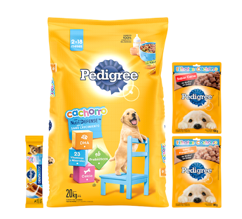 Combo Pedigree Alimento Perro Cachorro + 2 Pouch + 1 Dentastix