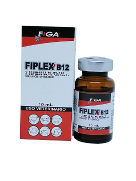 Fiplex B12 - Complejo B