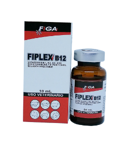 Figa S.A - Fiplex B12