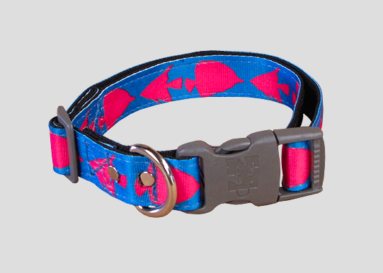 collar-pescados-animal-shop-entrega-en-1-dia-habil-ruta-tarde