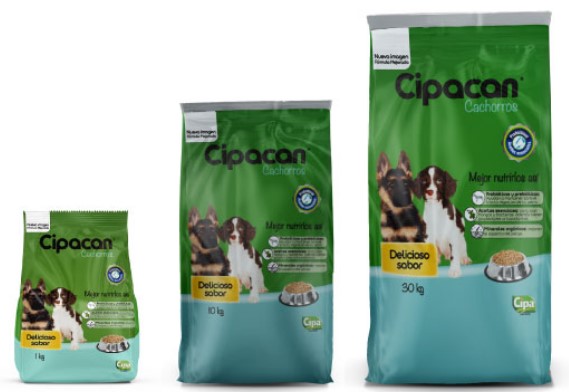 Cipacan Cachorros