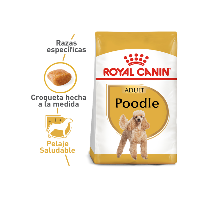 Royal Canin Poodle  