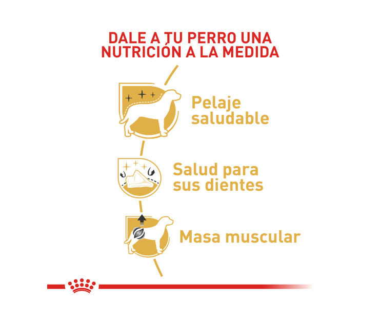 royal-canin-poodle