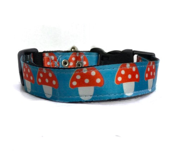 Collar Hongo