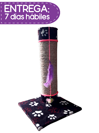 dani-rascadera-torre-sencilla-gato-dani