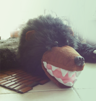 cama-tapete-oso