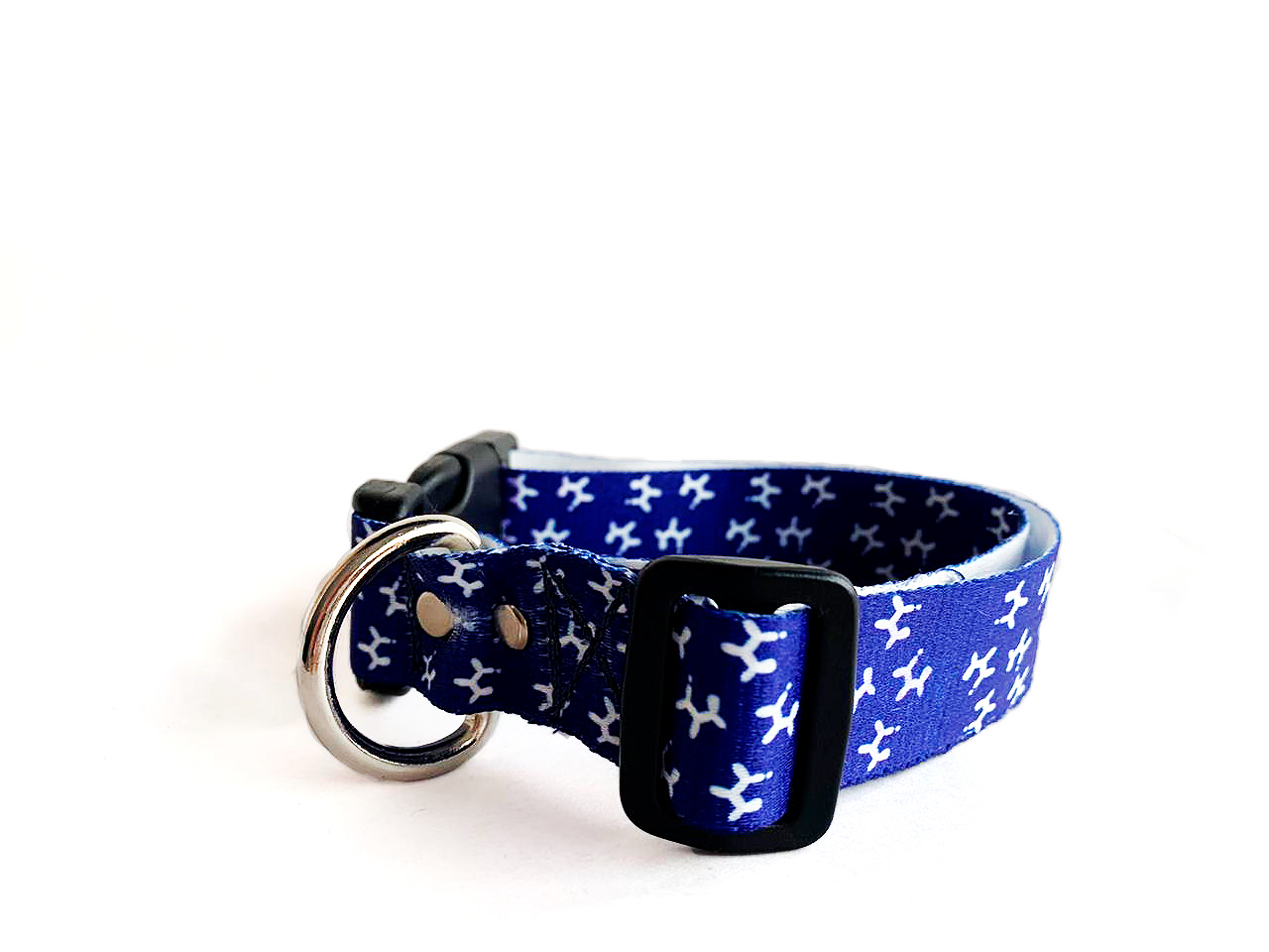 laika-collar-azul-gato