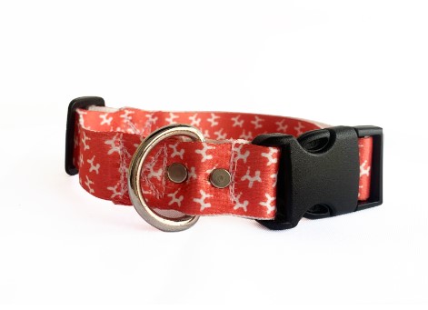 collar-rosado-laika-perro