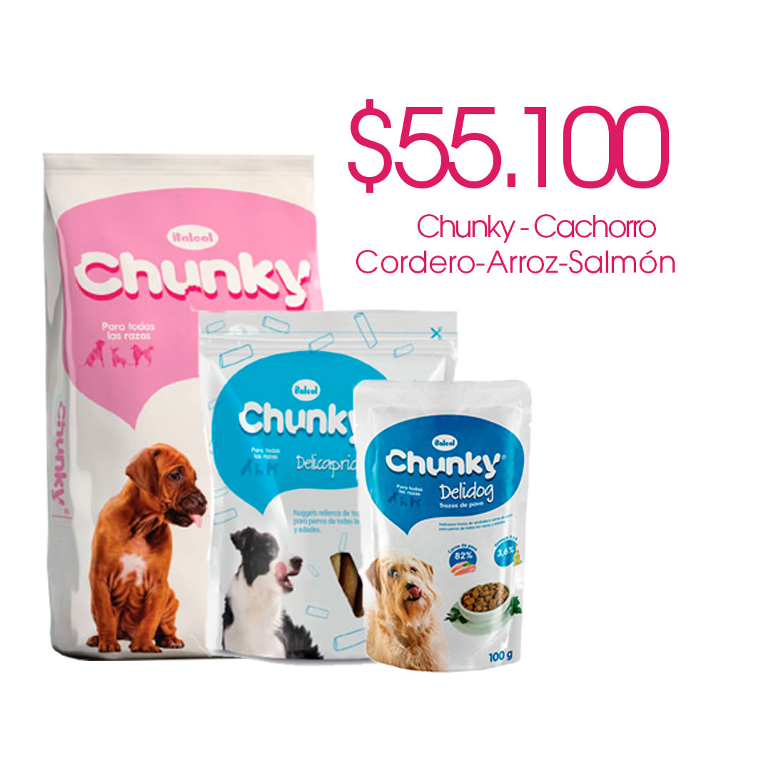 Combo Chunky Cachorro Dog 