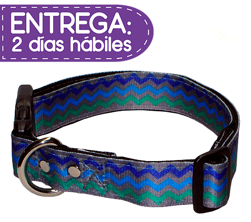 Animal Shop - Collar Chevron
