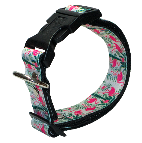 collar-flamingos