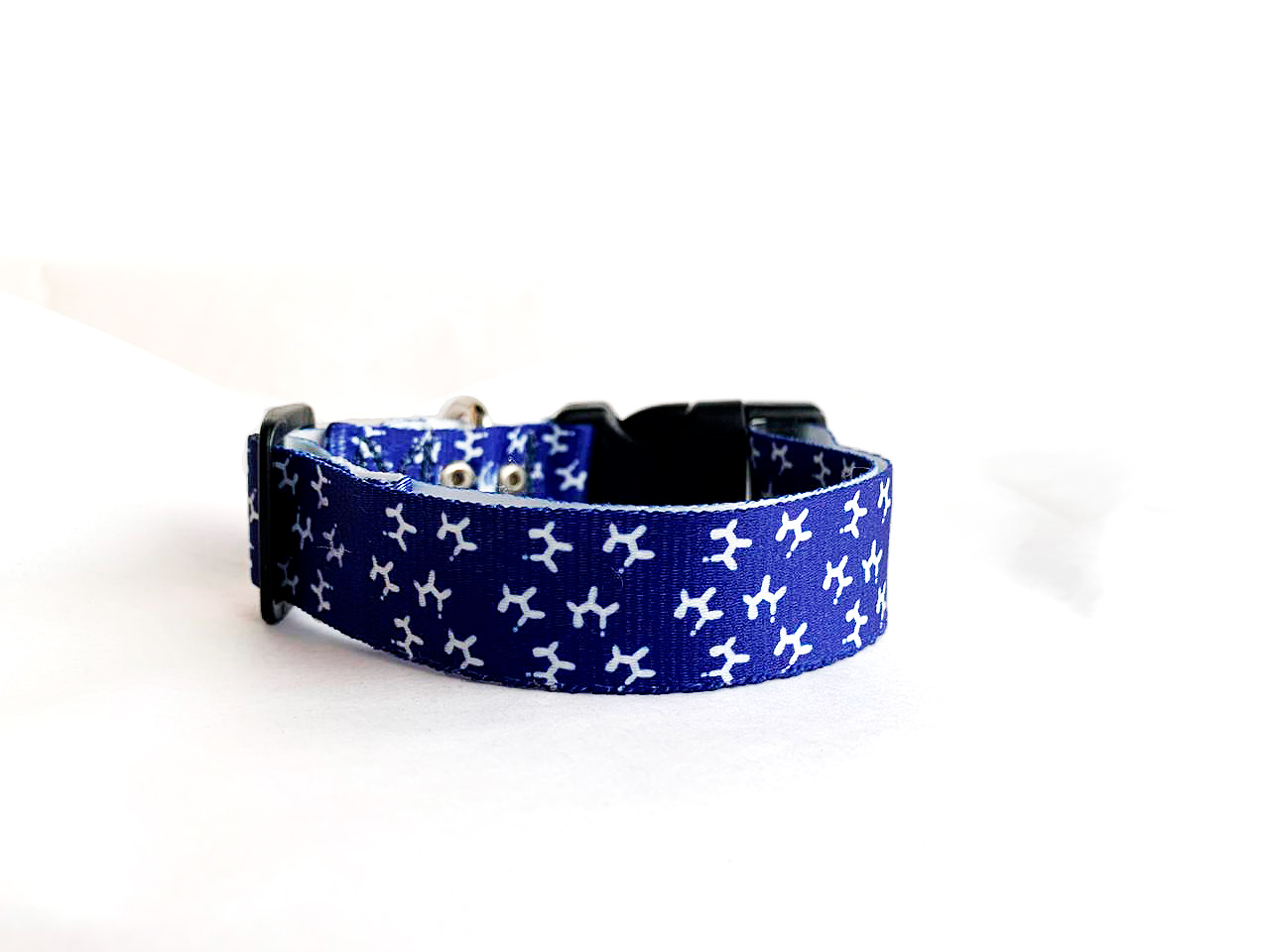 laika-collar-azul-gato