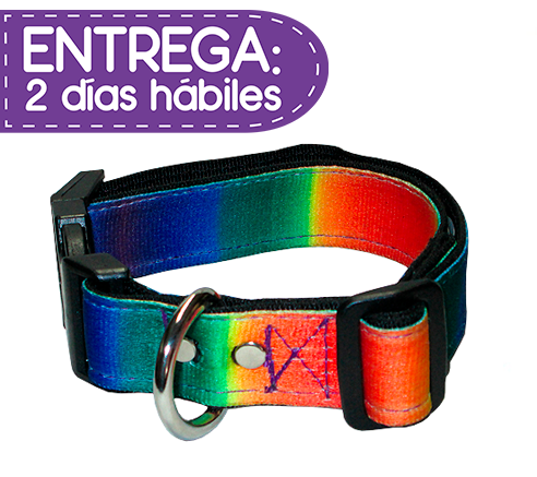 animal-shop-collar-rainbow