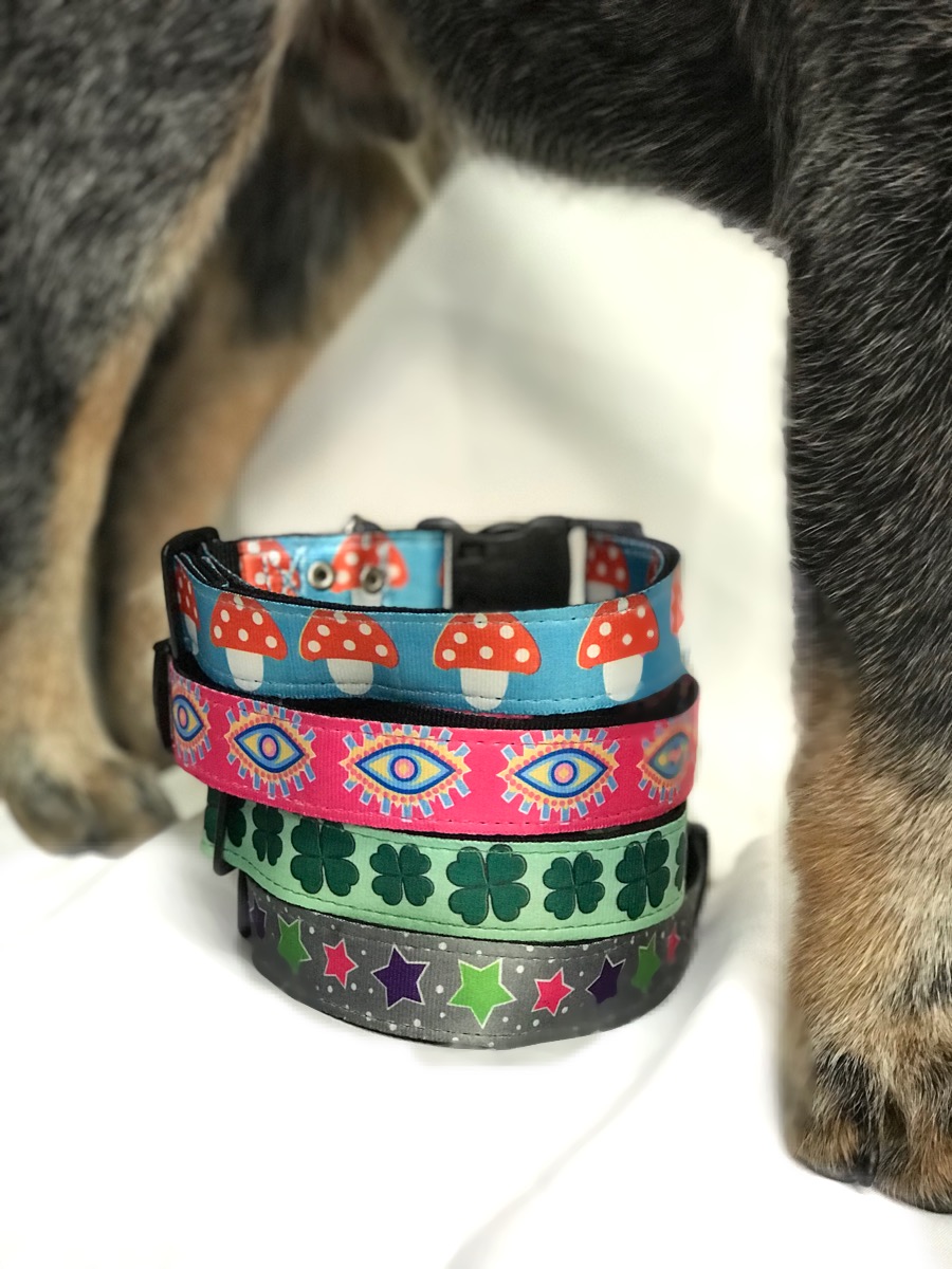 animal-shop-collar-treboles