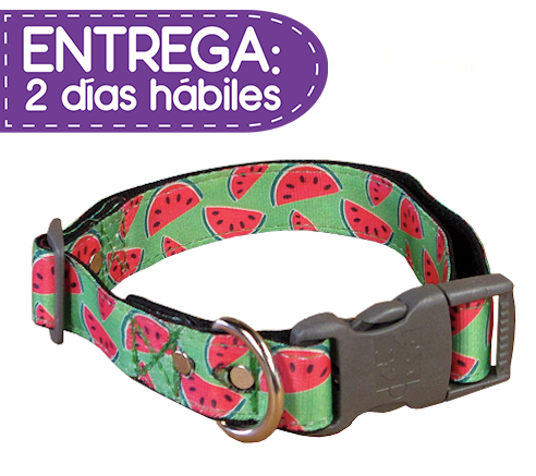 Animal Shop - Collar Patillas