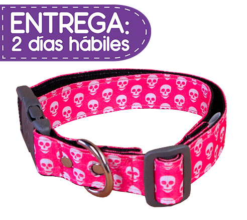 Animal Shop - Collar Calaveras Pink