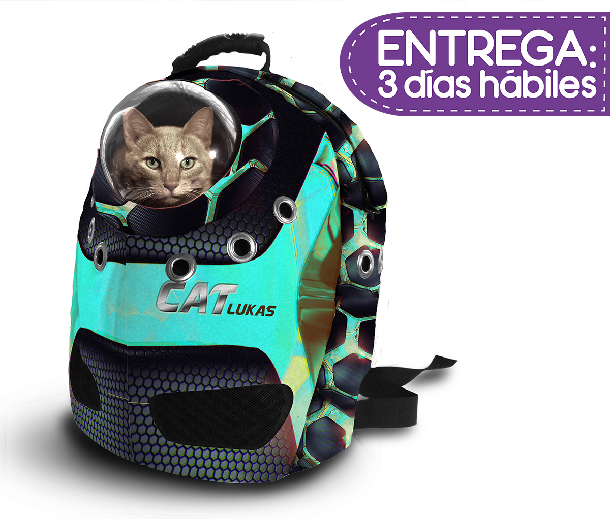 Maleta Gatos Porta Mascotas 23