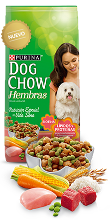 Dogchow Hembras 