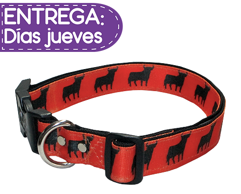 Collar Toros